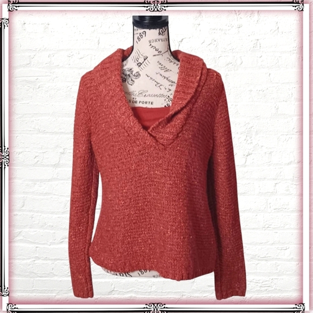 Charter Club Wool Orange V-Neck Chunky Knit Sweater Size PM